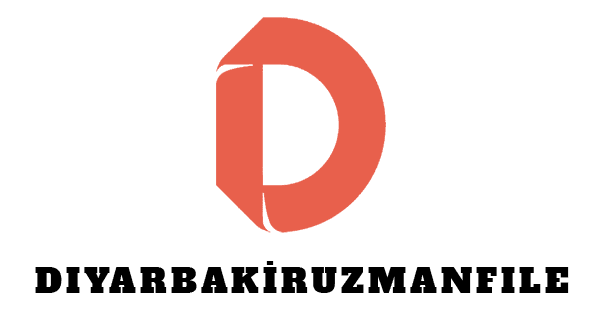 Diyarbakır Uzman File